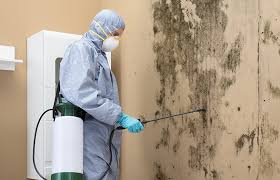 Reliable Hettinger, ND Mold Prevention & Removal  Solutions